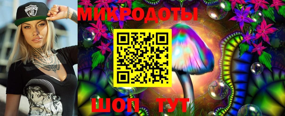 Псилоцибиновые грибы Psilocybe Москва