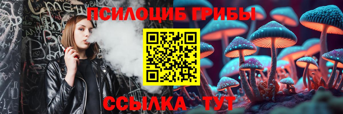 Псилоцибиновые грибы мицелий  Псилоцибиновые грибы Psilocybine cubensis  Москва  Вход с VPN 